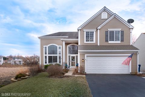 1 Fieldcrest Ct, Algonquin, IL 60102 photo 1