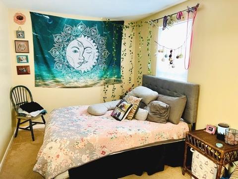 485 Conservatory Ln, Aurora, IL 60502 photo 5