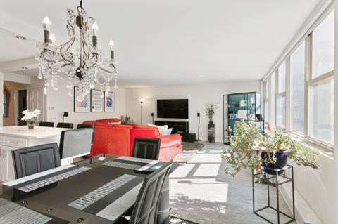 40 E Cedar St #3C, Chicago, IL 60611 photo 5