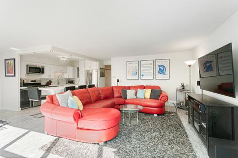 40 E Cedar St #3C, Chicago, IL 60611 photo 3
