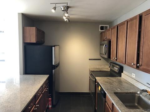222 E Pearson St #202, Chicago, IL 60611 photo 12
