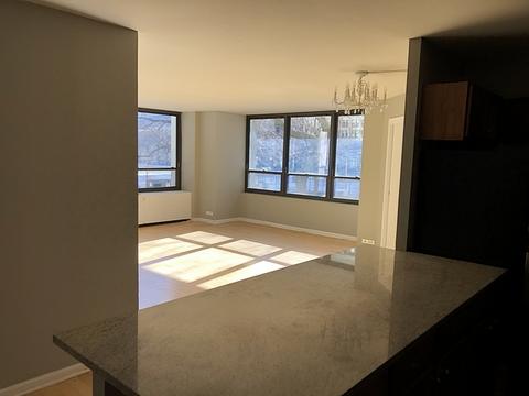 222 E Pearson St #202, Chicago, IL 60611 photo 4