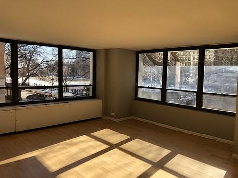 222 E Pearson St #202, Chicago, IL 60611 photo 5