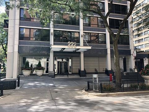 222 E Pearson St #202, Chicago, IL 60611 photo 2