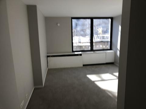 222 E Pearson St #202, Chicago, IL 60611 photo 15
