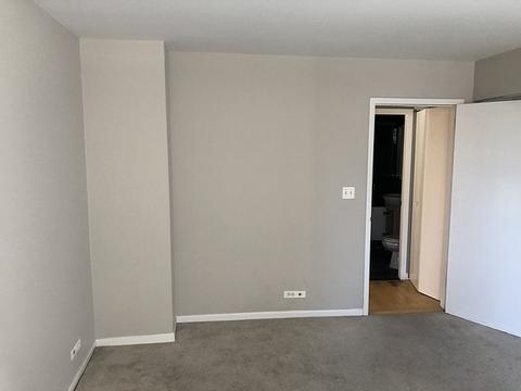 222 E Pearson St #202, Chicago, IL 60611 photo 14