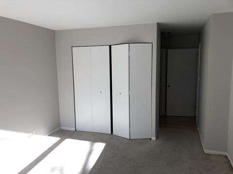 222 E Pearson St #202, Chicago, IL 60611 photo 16