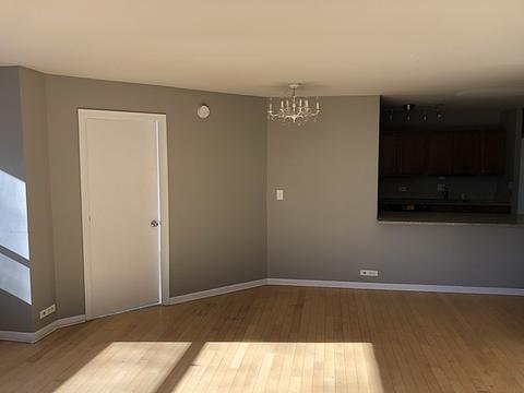 222 E Pearson St #202, Chicago, IL 60611 photo 9