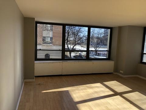 222 E Pearson St #202, Chicago, IL 60611 photo 6