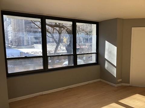 222 E Pearson St #202, Chicago, IL 60611 photo 8