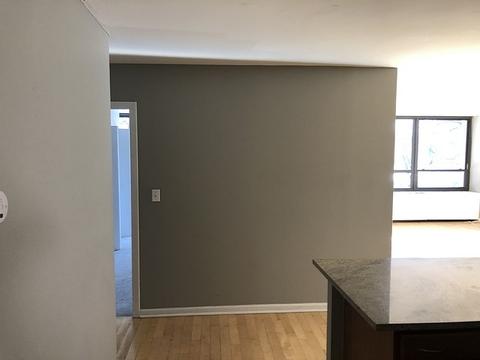 222 E Pearson St #202, Chicago, IL 60611 photo 3