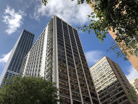 222 E Pearson St #202, Chicago, IL 60611 photo 1