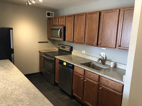 222 E Pearson St #202, Chicago, IL 60611 photo 10