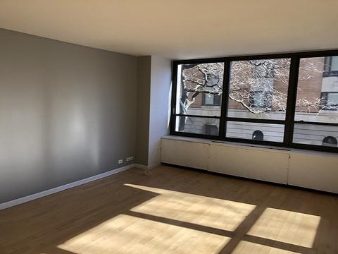 222 E Pearson St #202, Chicago, IL 60611 photo 7