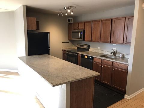 222 E Pearson St #202, Chicago, IL 60611 photo 11