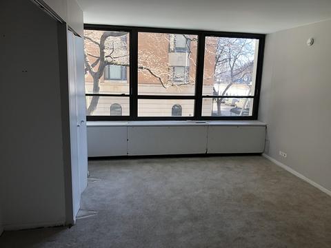 222 E Pearson St #202, Chicago, IL 60611 photo 13