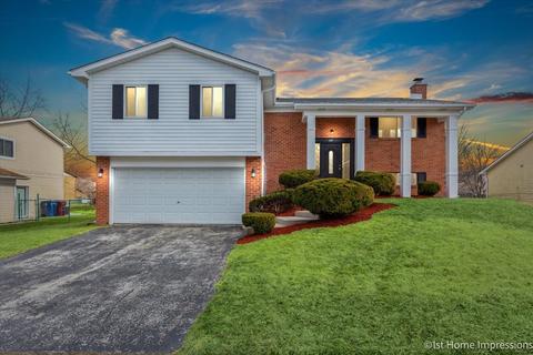 49 Pheasant Rd, Matteson, IL 60443 photo 1