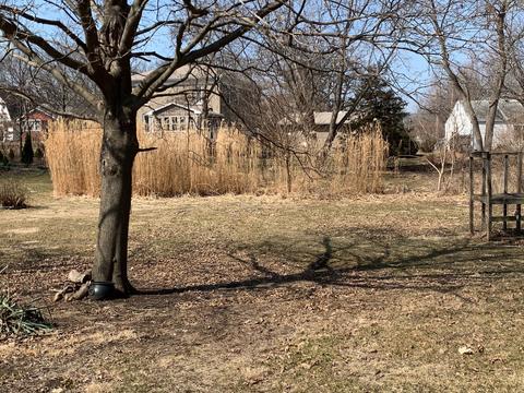 509 N Base St, Morrison, IL 61270 photo 3