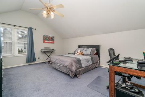 13725 Nelson Ct, Plainfield, IL 60544 photo 35