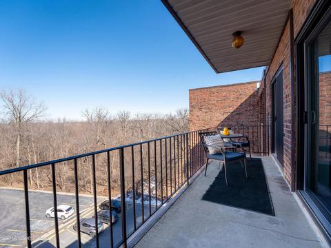 1702 Mill St #608, Des Plaines, IL 60016 photo 17