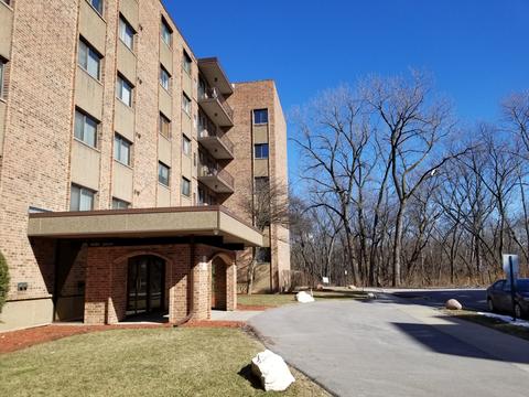 1702 Mill St #608, Des Plaines, IL 60016 photo 23