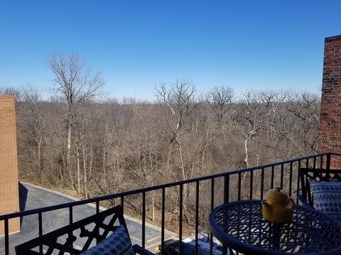 1702 Mill St #608, Des Plaines, IL 60016 photo 20