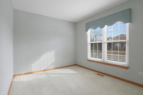 21636 W Empress Ln, Plainfield, IL 60544 photo 7