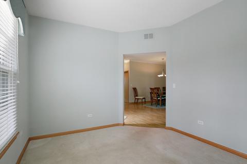 21636 W Empress Ln, Plainfield, IL 60544 photo 8