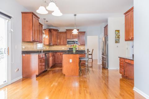 16316 Hidden River Dr, Plainfield, IL 60586 photo 4