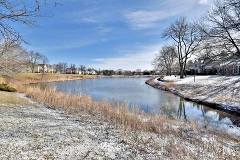 1622 Hadley Ct #C1, Wheeling, IL 60090 photo 29