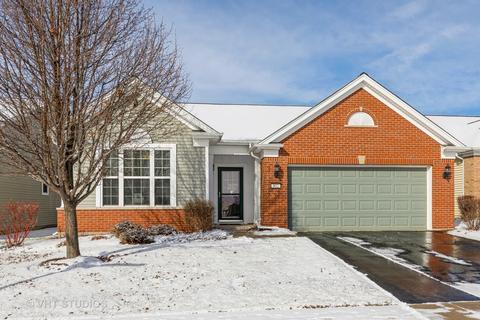 852 Cascade Falls Dr, Elgin, IL 60124 photo 1