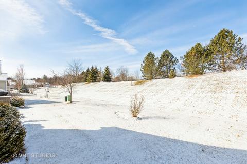 852 Cascade Falls Dr, Elgin, IL 60124 photo 27