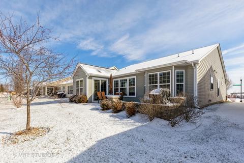 852 Cascade Falls Dr, Elgin, IL 60124 photo 24