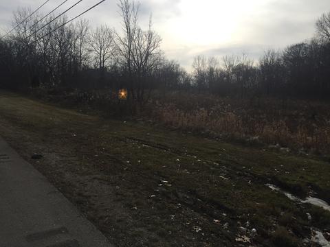 31 W085 Rohrssen Rd, Elgin, IL 60120 photo 8