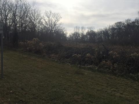 31 W085 Rohrssen Rd, Elgin, IL 60120 photo 7