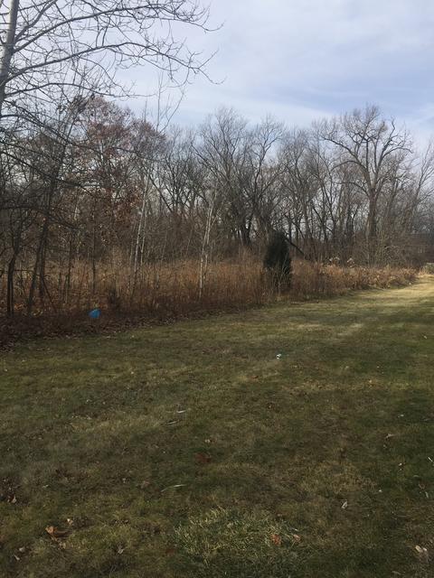 31 W085 Rohrssen Rd, Elgin, IL 60120 photo 6