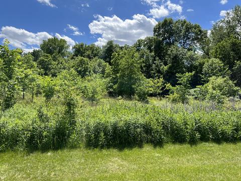 31 W085 Rohrssen Rd, Elgin, IL 60120 photo 2