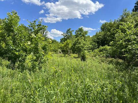 31 W085 Rohrssen Rd, Elgin, IL 60120 photo 1