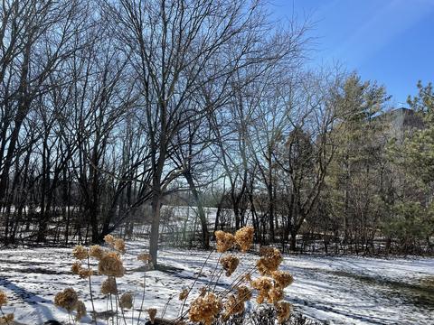 1762 Sienna Ct, Wheeling, IL 60090 photo 21