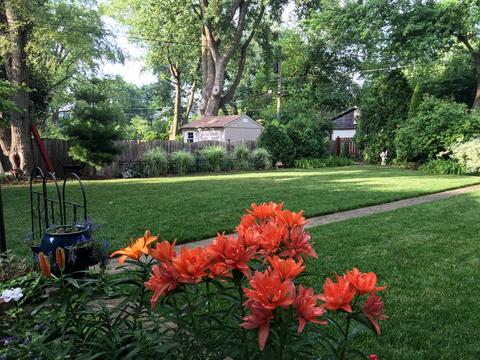 335 Darrow Ave, Evanston, IL 60202 photo 31