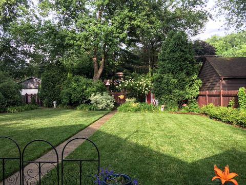 335 Darrow Ave, Evanston, IL 60202 photo 29