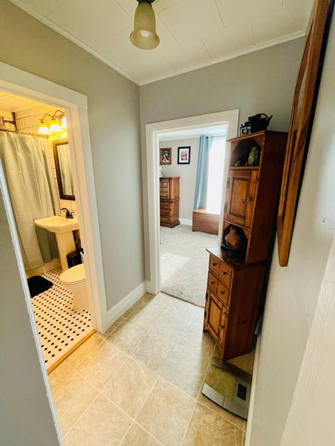 111 E Cooper St, Colfax, IL 61728 photo 15