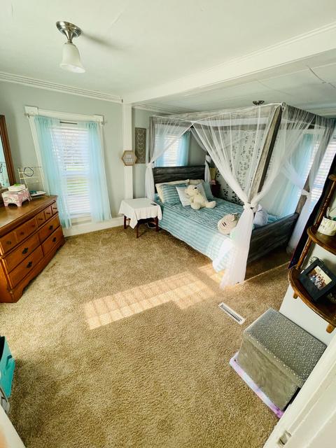 111 E Cooper St, Colfax, IL 61728 photo 21