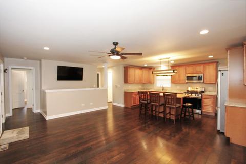 213 E Wilson St, Peotone, IL 60468 photo 5