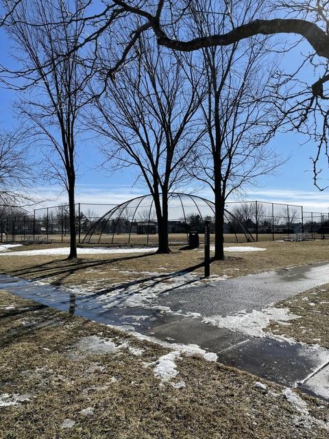 1482 W Sapphire Dr, Hoffman Estates, IL 60192 photo 21