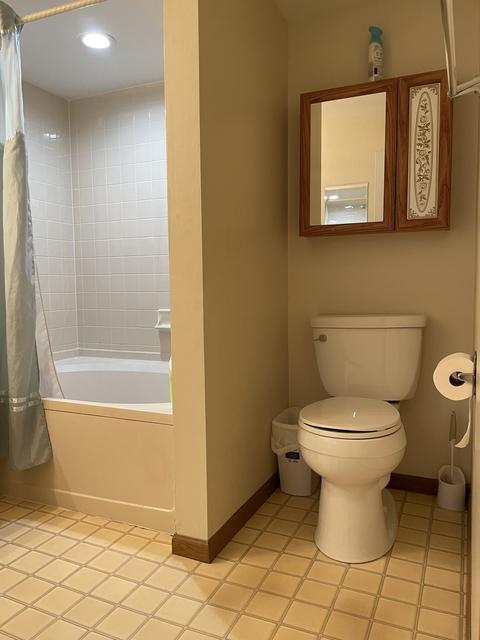 1482 W Sapphire Dr, Hoffman Estates, IL 60192 photo 12