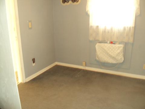 428 E Grove Ave, Rantoul, IL 61866 photo 11