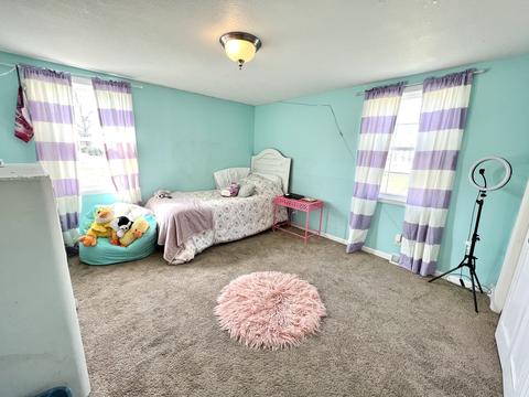113 E Willard St, Gifford, IL 61847 photo 28