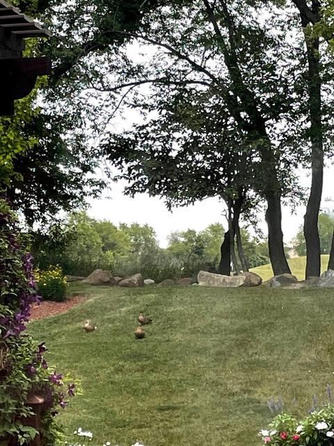 1285 Stonegate Rd, Algonquin, IL 60102 photo 34