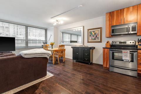 33 E Cedar St #4C, Chicago, IL 60611 photo 2